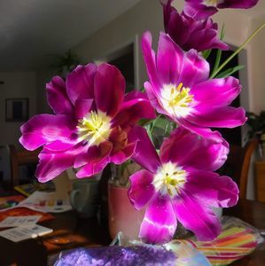 Meet your Posher, Kathy